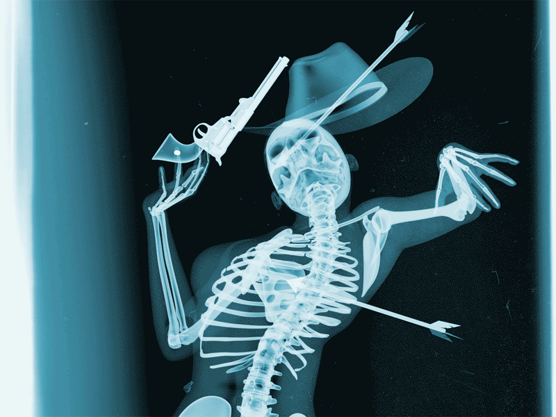 Replit profile picture for @Skeletons