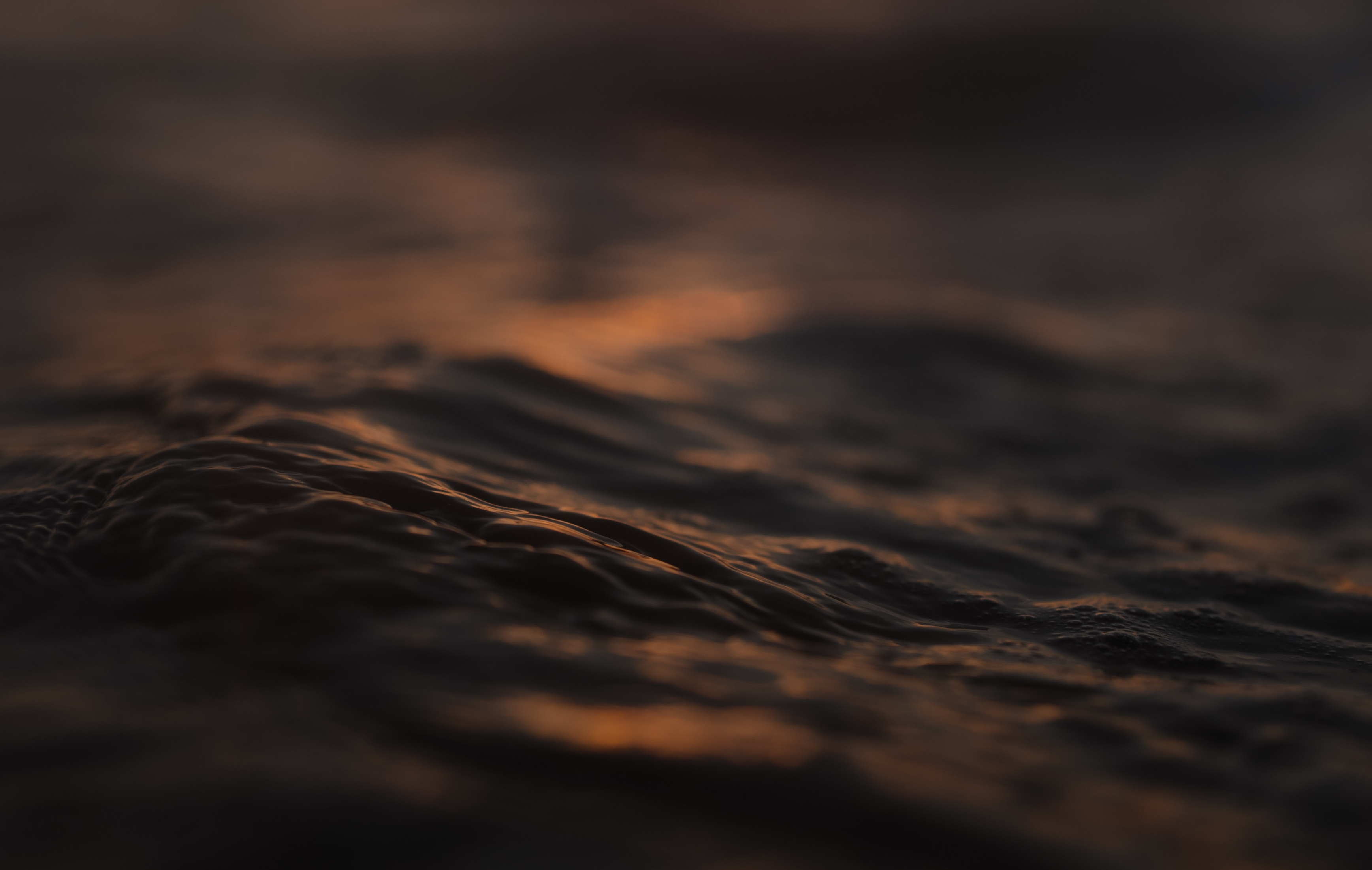 Replit banner for @porno