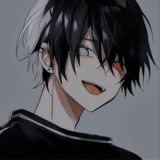 Replit profile picture for @hemanthXD