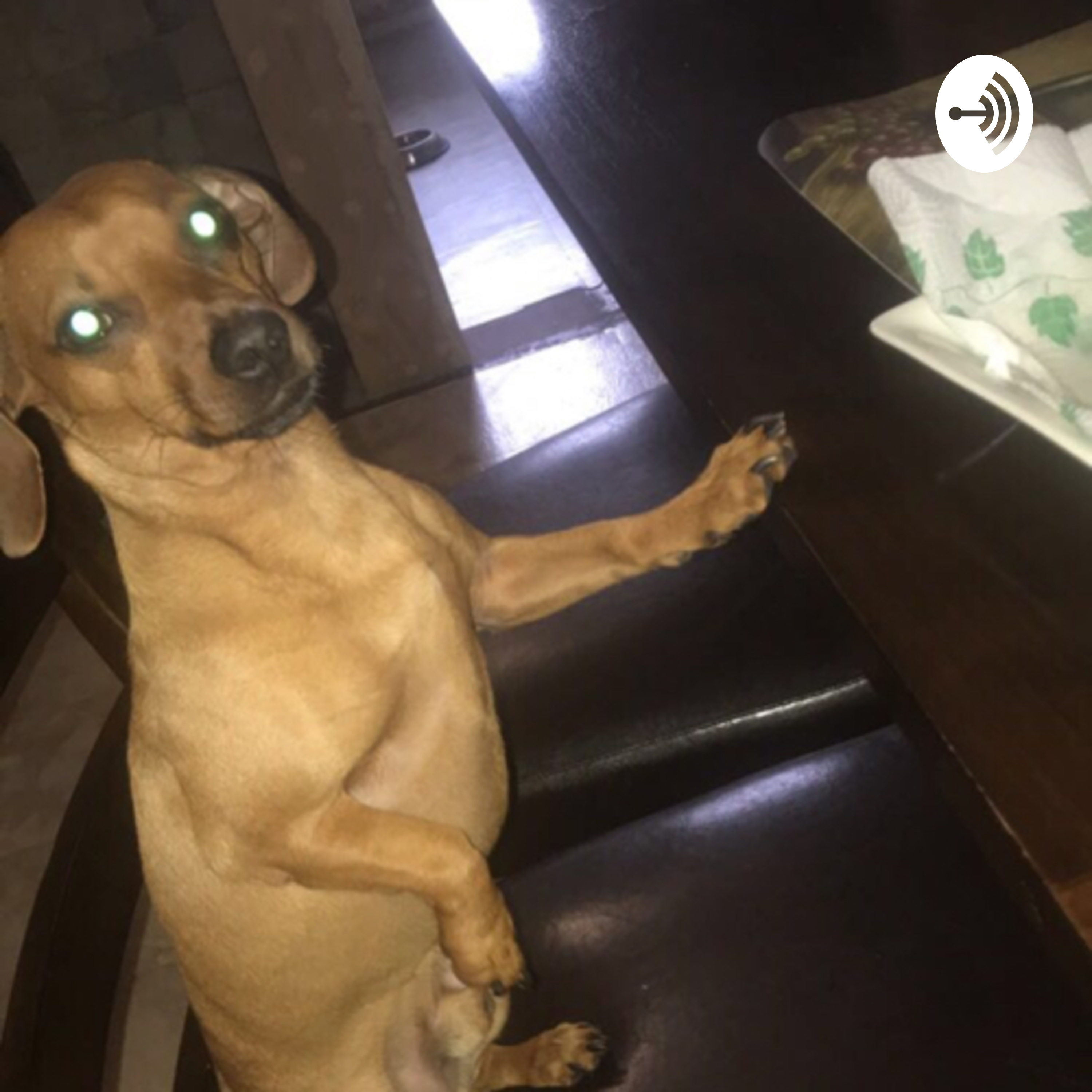 Firefox Emulator Replit