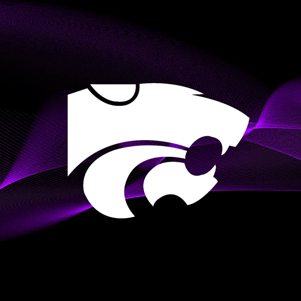 ksucmst135 (CMST 135 Fall 2023) Replit