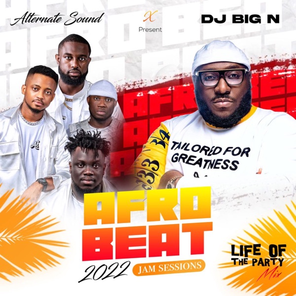 ziplifeofthdjbign ([Download) DJ Big N Life Of The Party Mix DJ Big