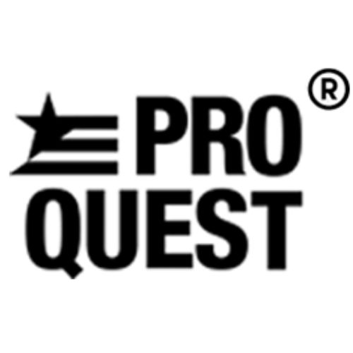 Replit profile picture for @Proquest