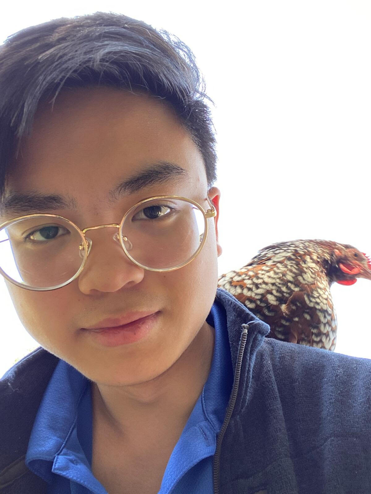Nathan pham Nathan Pham Replit Nathan pham nathan pham replit