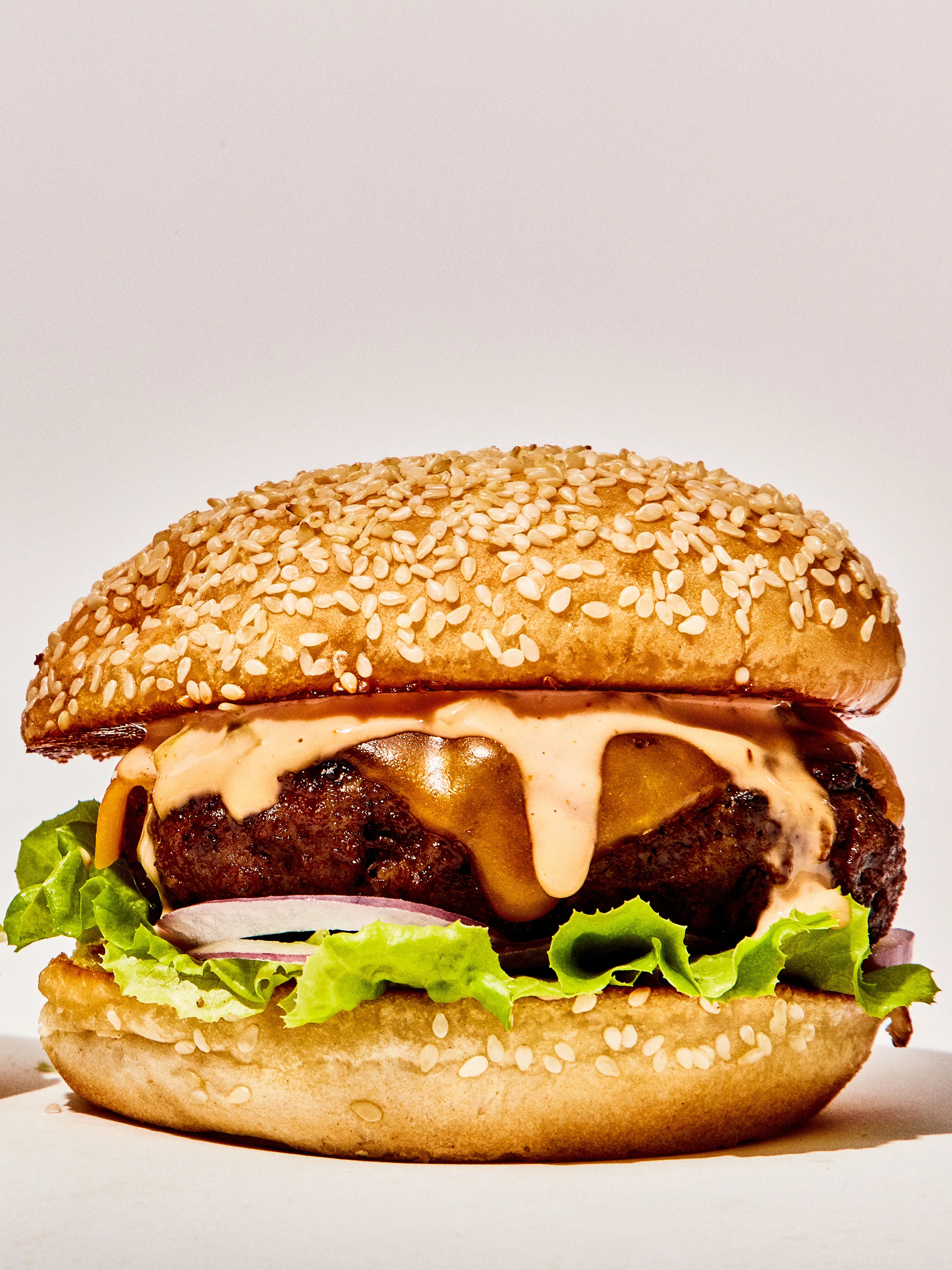 Replit profile picture for @hamburgers