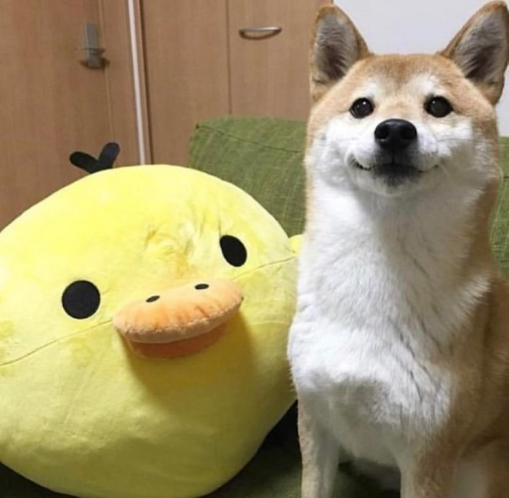 Replit profile picture for @illustration