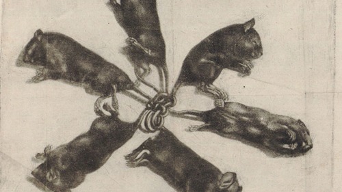 Replit banner for @welfare