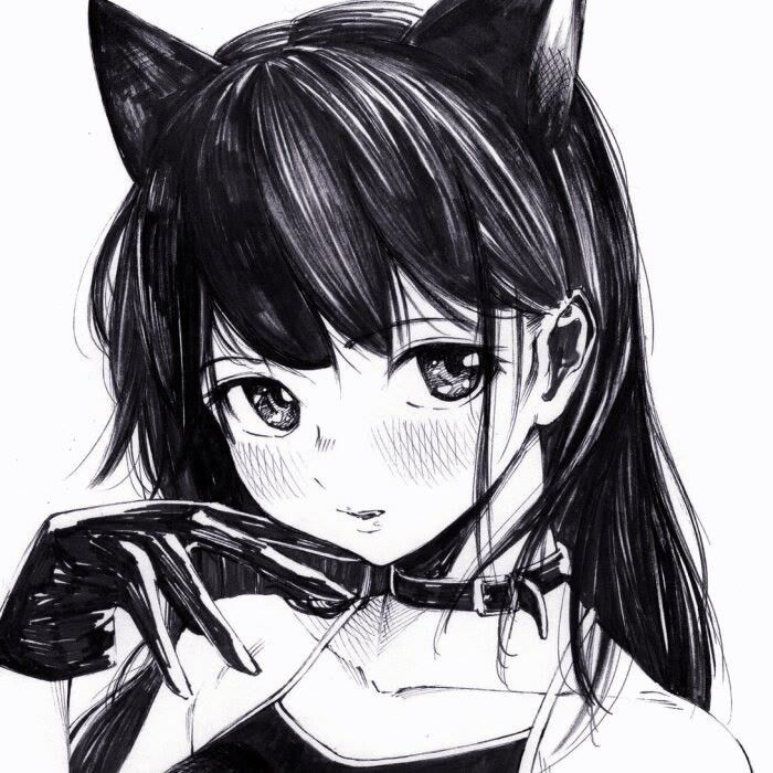 Replit profile picture for @Defied