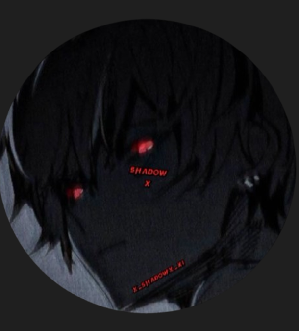 Replit profile picture for @shadowx