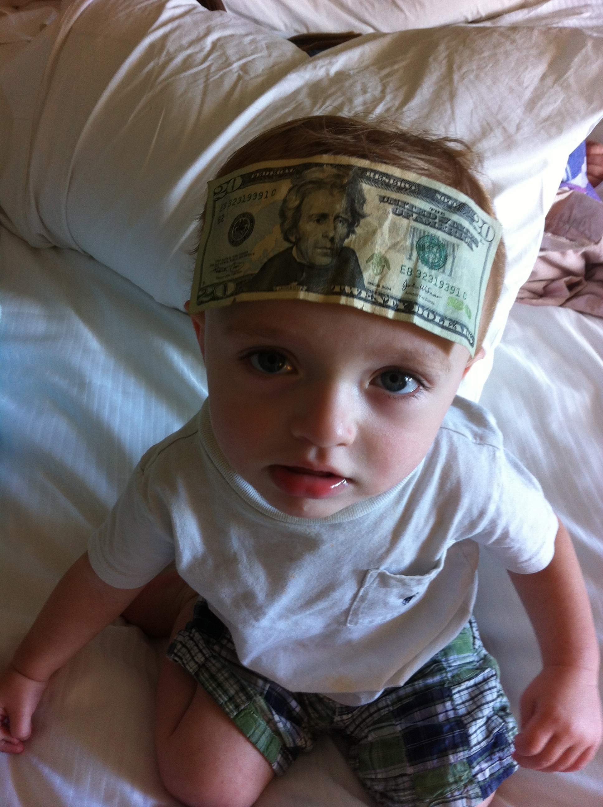 Replit profile picture for @moneybags