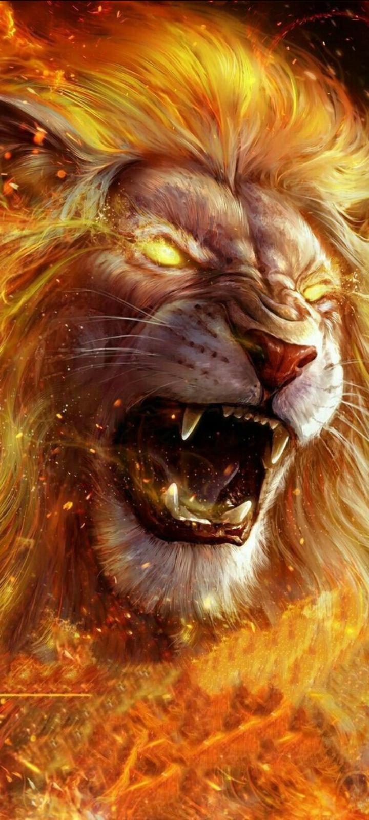 Replit profile picture for @fahad555