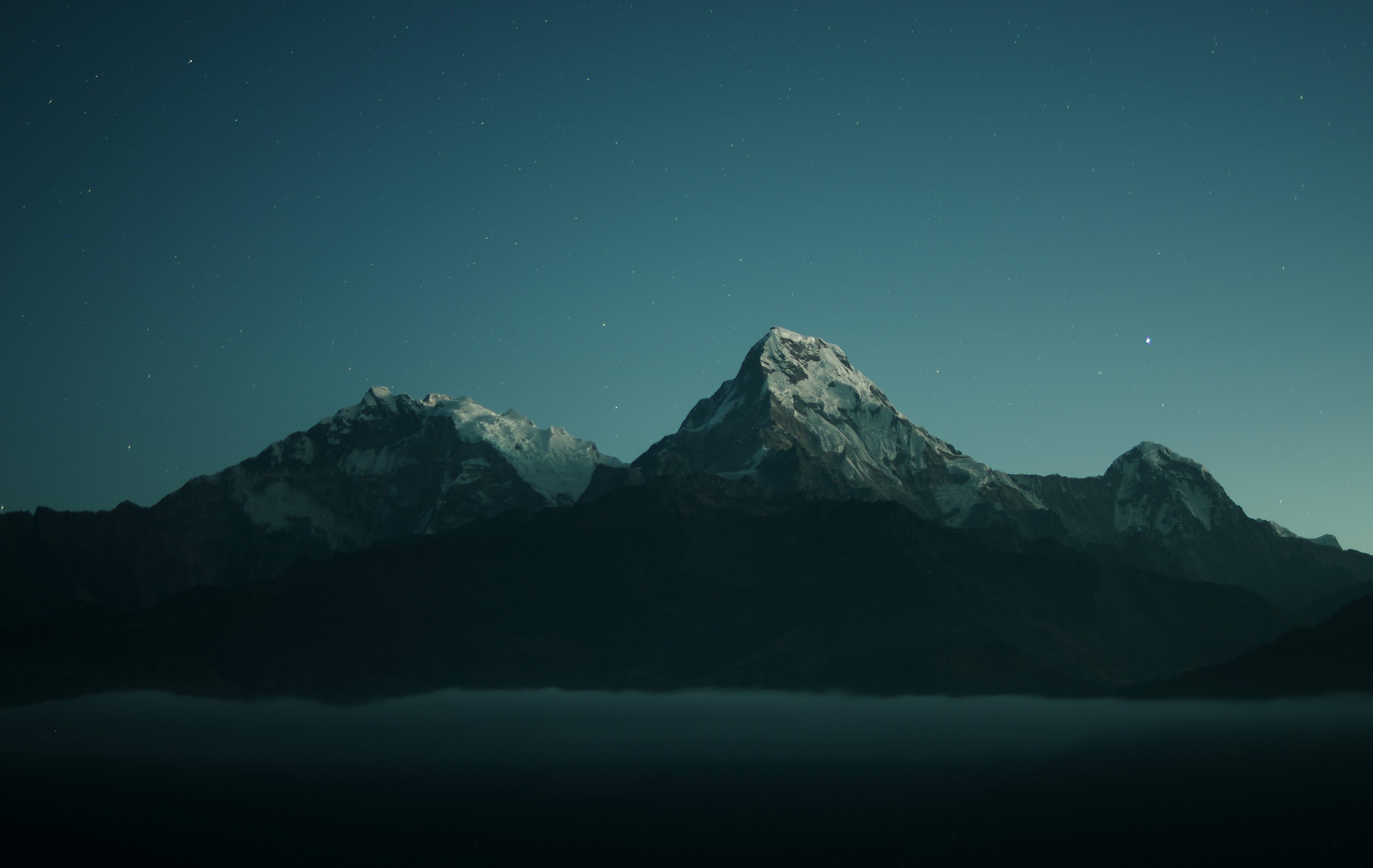Replit banner for @palp