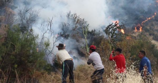 Incendio forestal.