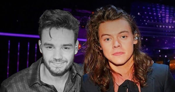Harry Styles, Liam Payne