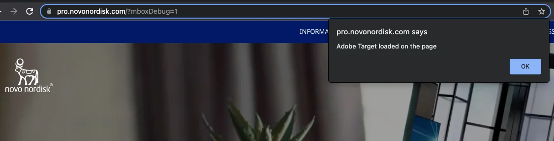 Get an Alert when Adobe Target tag is loaded on screenshot