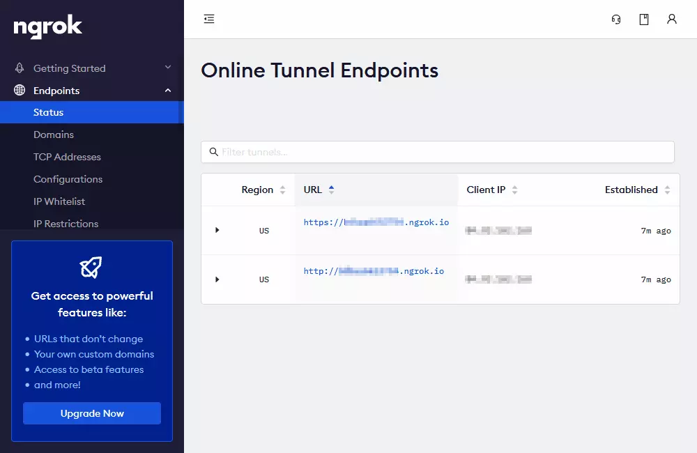 Ngrok screenshot