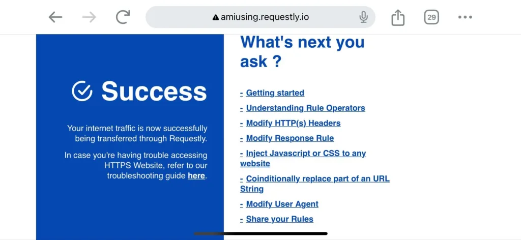 Am i using Requestly success