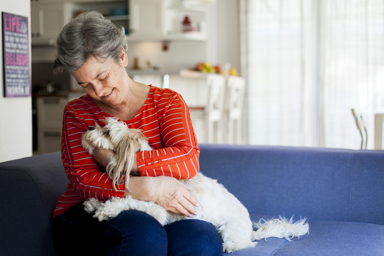 pet health pros no chew spray