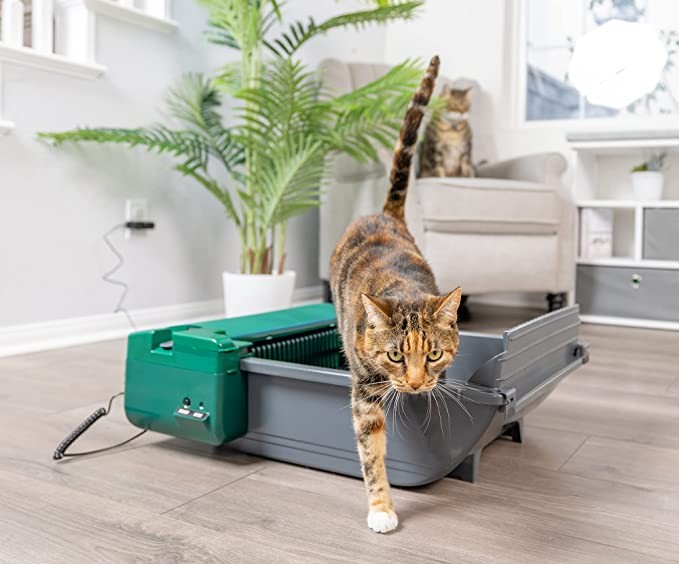 pet zone semi automatic cat litter box self cleaning