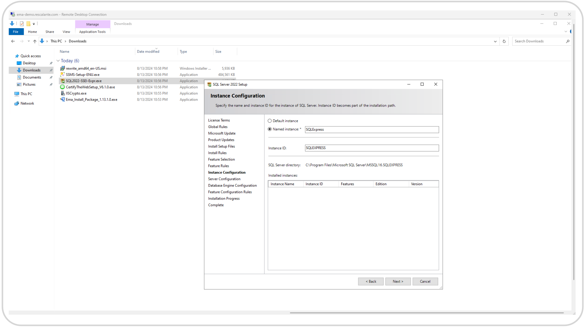 EMA Installation MSSQL Server 2022 Instance Configuration