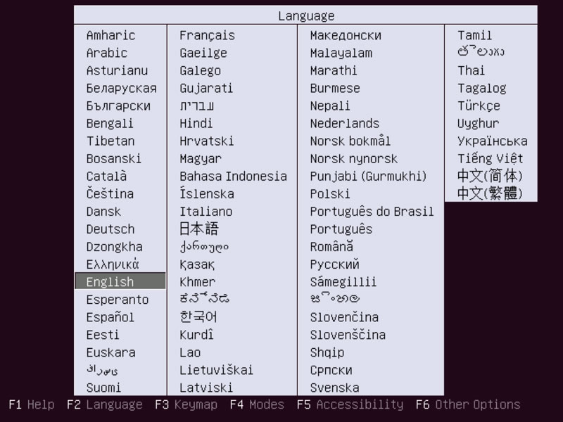 Ubuntu Server Installation Language Selection