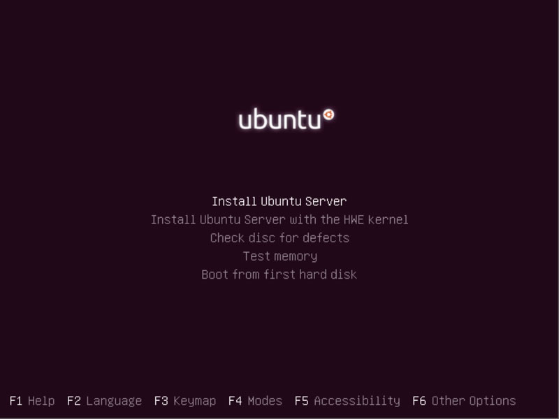 Ubuntu Server Installation Menu
