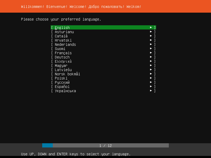 Ubuntu Server Installation Second Languade Selection