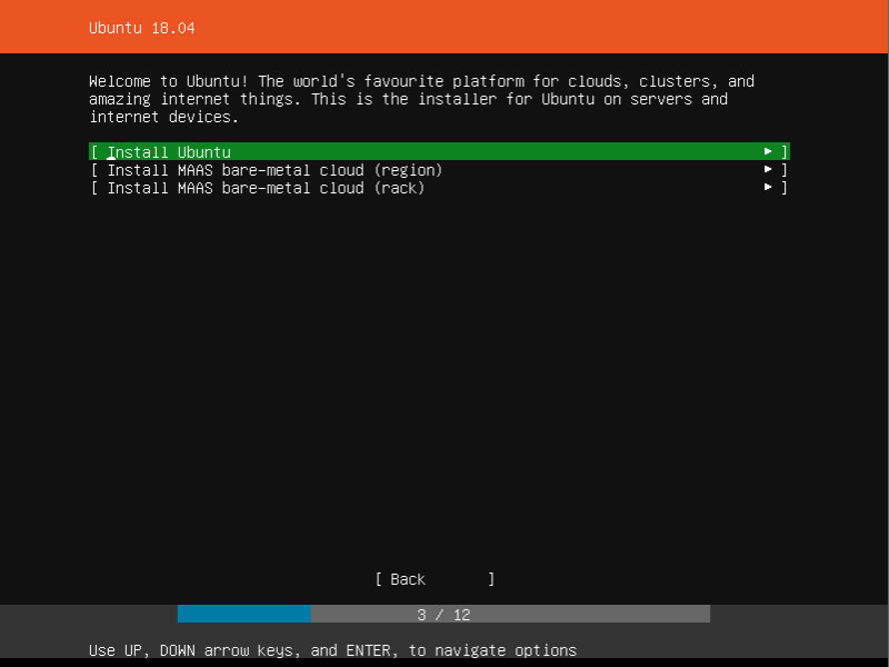 Ubuntu Server Select Mode Normal or MAAS