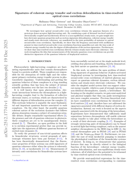 Signatures of coherent energy transfer and exciton delocalization in time-resolved optical cross correlations
