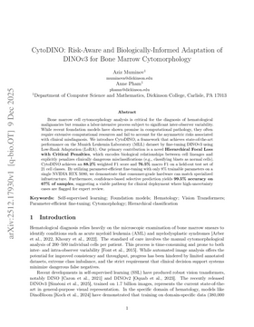 Podcast cover for "CytoDINO: Risk-Aware and Biologically-Informed Adaptation of DINOv3 for Bone Marrow Cytomorphology" by Aziz Muminov & Anne Pham