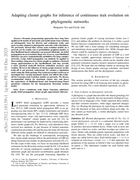 Adapting cluster graphs for inference of continuous trait evolution on phylogenetic networks
