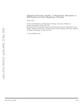 Markovian Promoter Models: A Mechanistic Alternative to Hill Functions in Gene Regulatory Networks