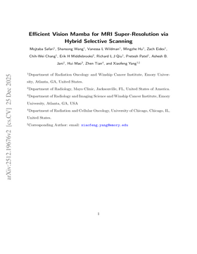 Efficient Vision Mamba for MRI Super-Resolution via Hybrid Selective Scanning