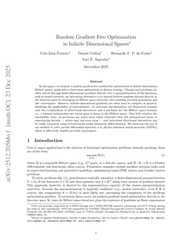 Random Gradient-Free Optimization in Infinite Dimensional Spaces