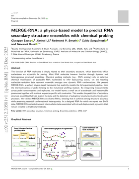 MERGE-RNA: a physics-based model to predict RNA secondary structure ensembles with chemical probing