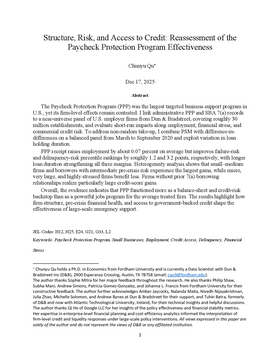Structure, Risk, and Access to Credit: Reassessment of the Paycheck Protection Program Effectiveness
