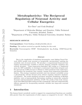 Metaboplasticity: The Reciprocal Regulation of Neuronal Activity and Cellular Energetics