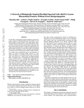 Cover art for A Network of Biologically Inspired Rectified Spectral Units (ReSUs) Learns Hierarchical Features Without Error Backpropagation