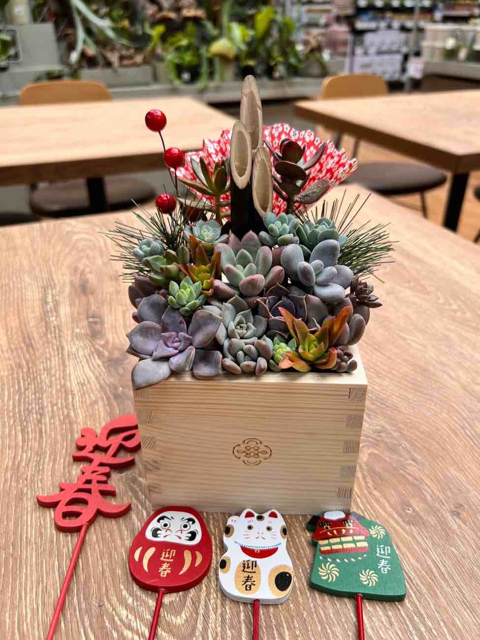 ・:*速達付き多肉植物そのまま飾れる・:*お正月.縁起物.お年賀 速達付き 多肉植物そのまま飾れる・:*お正月.縁起物多肉お重風 【公式