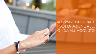 Software gestionale flotta