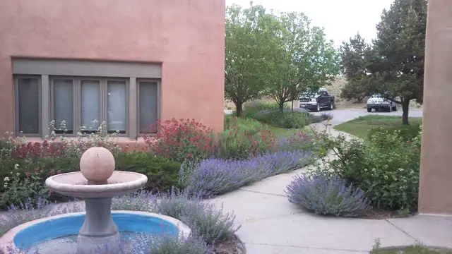 View image 1
