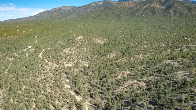 View image 9