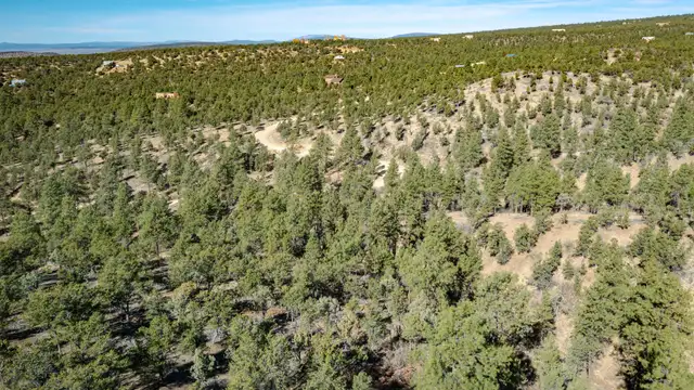 View image 7