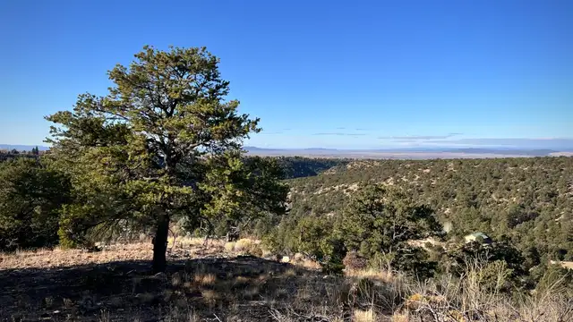 View image 21