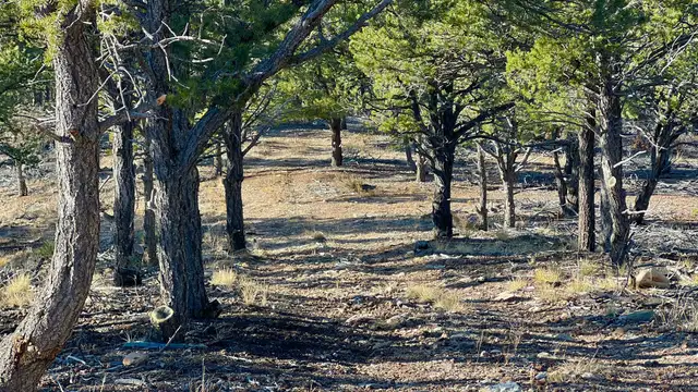 View image 23