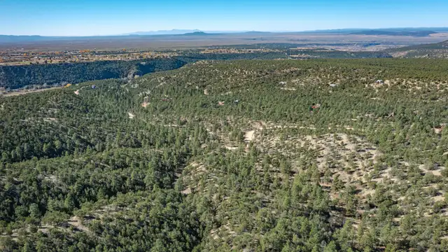 View image 6