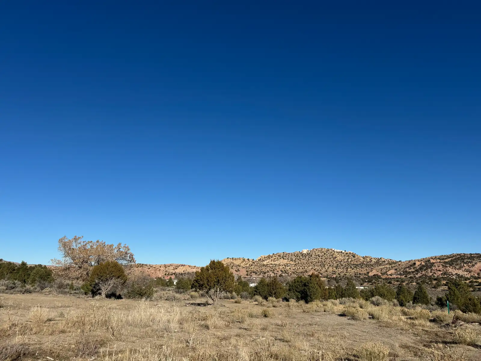 TBD Lookout Ave image 3