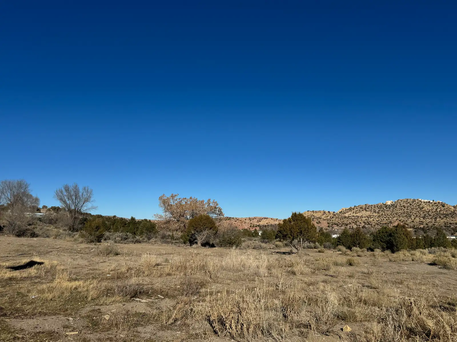 TBD Lookout Ave image 5