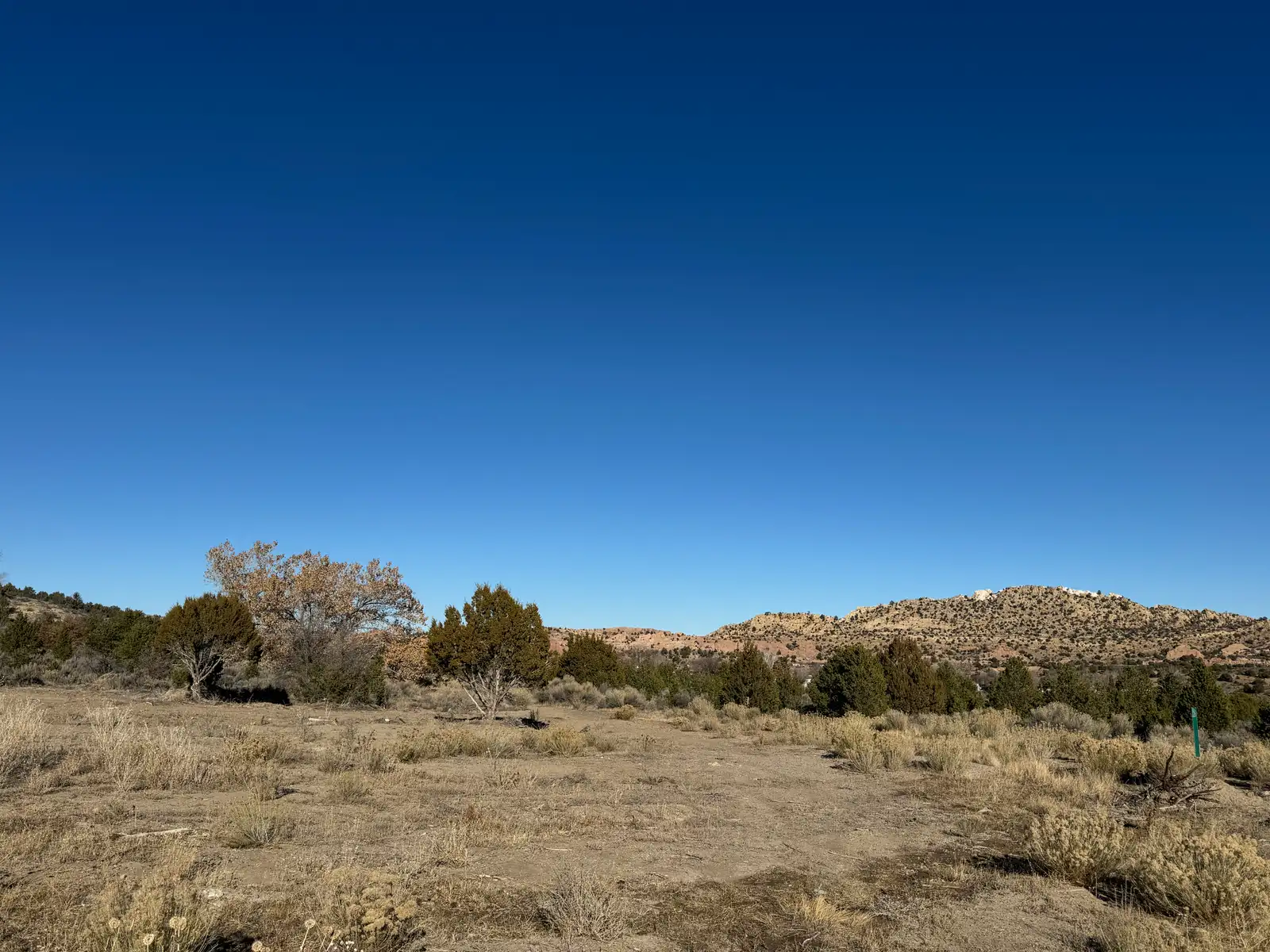 TBD Lookout Ave image 2