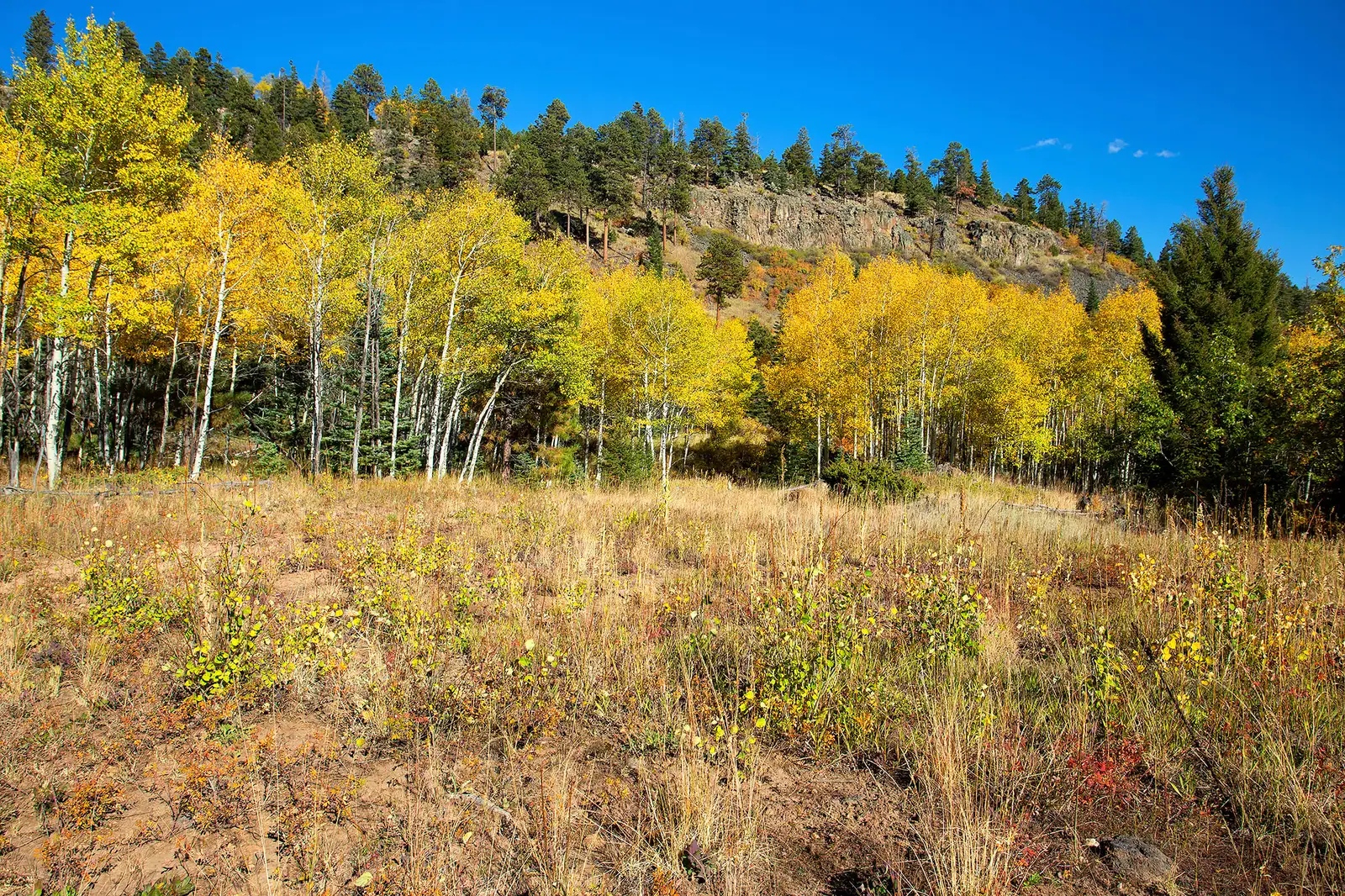 The Ranch at Angel Fire image 9